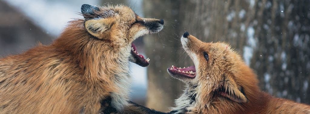 How to Avoid a Fight on an Airplane: Flight Etiquette