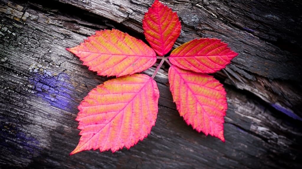 Planned Spontaneity: Ideas to Kick-Start the Natural Traveller in You